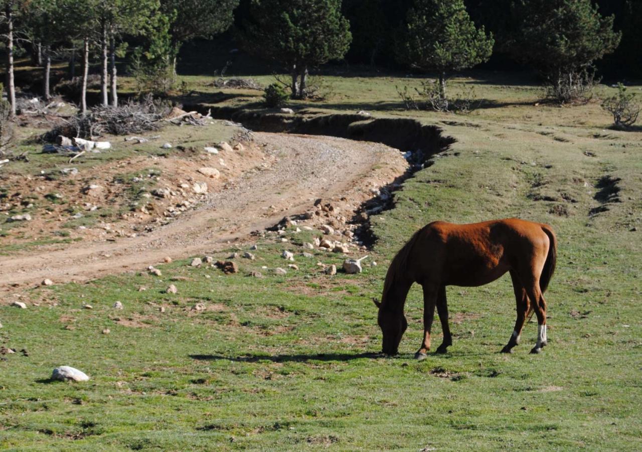 לה פובלה דה לילט Apartamento Con Encanto En El Pirineo מראה חיצוני תמונה